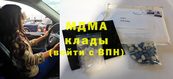 прущие грибы Богданович