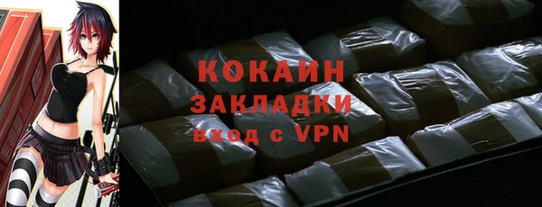 прущие грибы Богданович