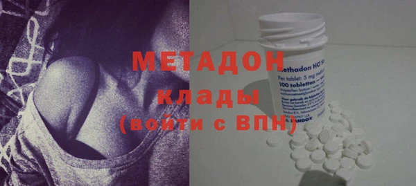 прущие грибы Богданович