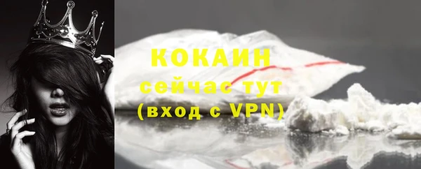 ПСИЛОЦИБИНОВЫЕ ГРИБЫ Рославль