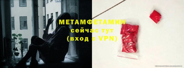 прущие грибы Богданович