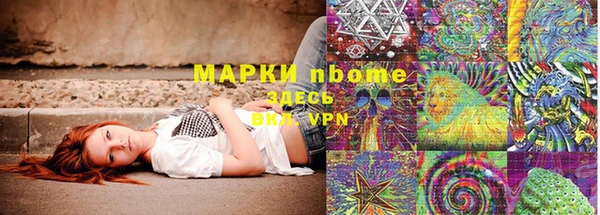 прущие грибы Богданович