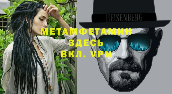 прущие грибы Богданович