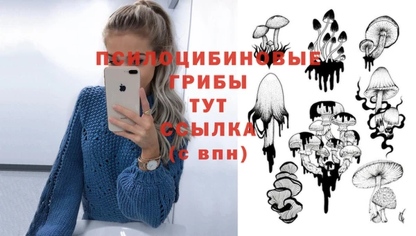 прущие грибы Богданович