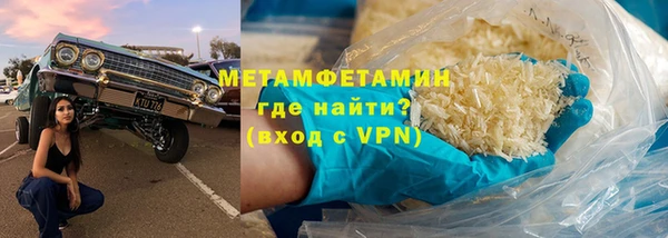 прущие грибы Богданович