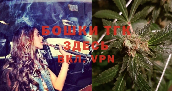 прущие грибы Богданович
