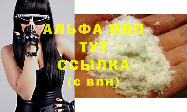 прущие грибы Богданович
