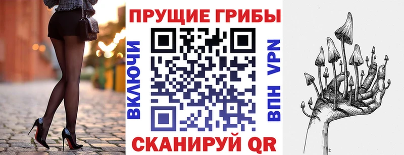 Галлюциногенные грибы Psilocybine cubensis  это как зайти  Светлогорск  сколько стоит 